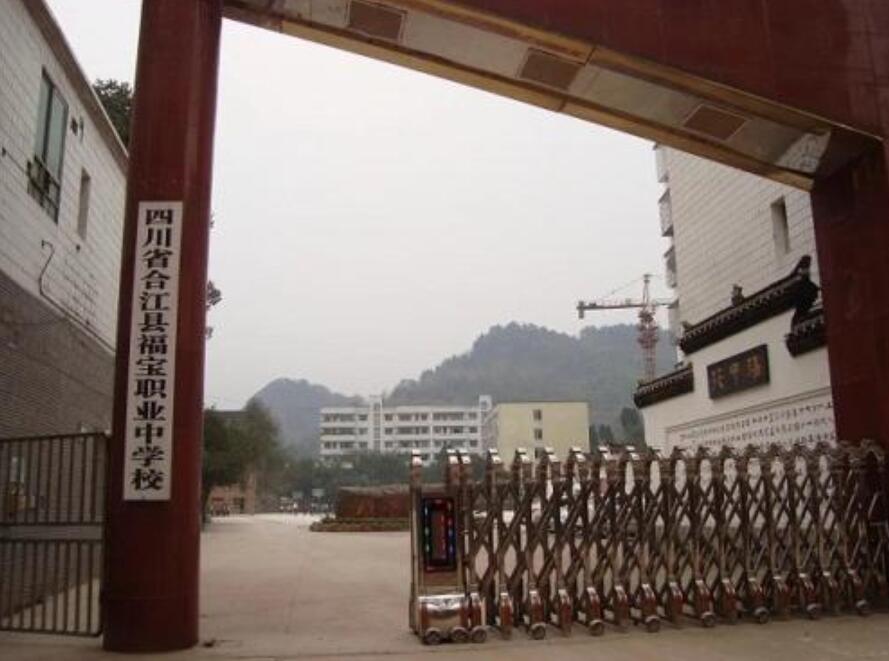 四川省合江縣福寶職業(yè)中學(xué)校