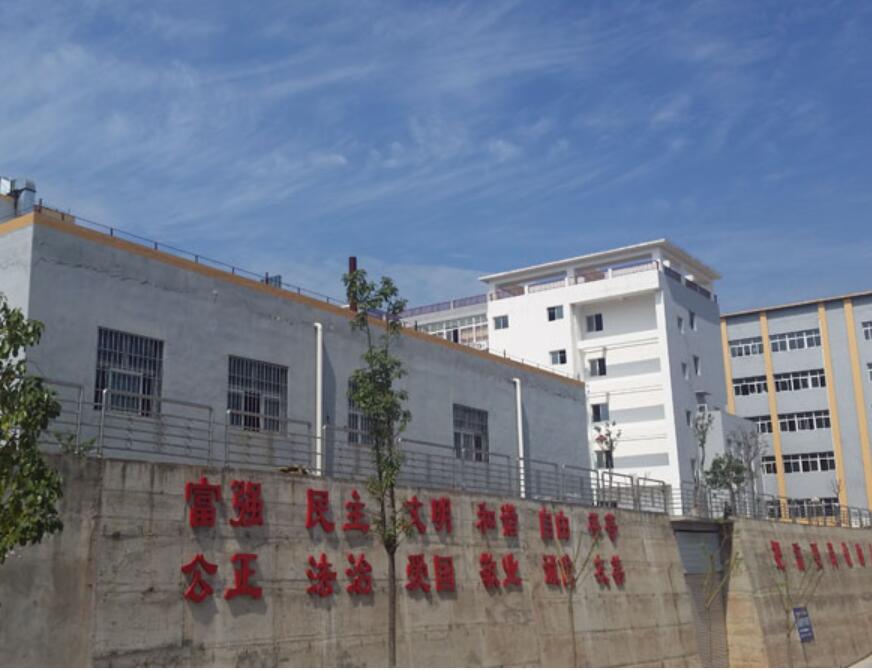 四川省蒼溪縣職業(yè)高級中學